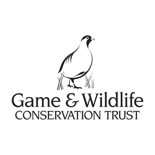 game-wildlife-trust-laings