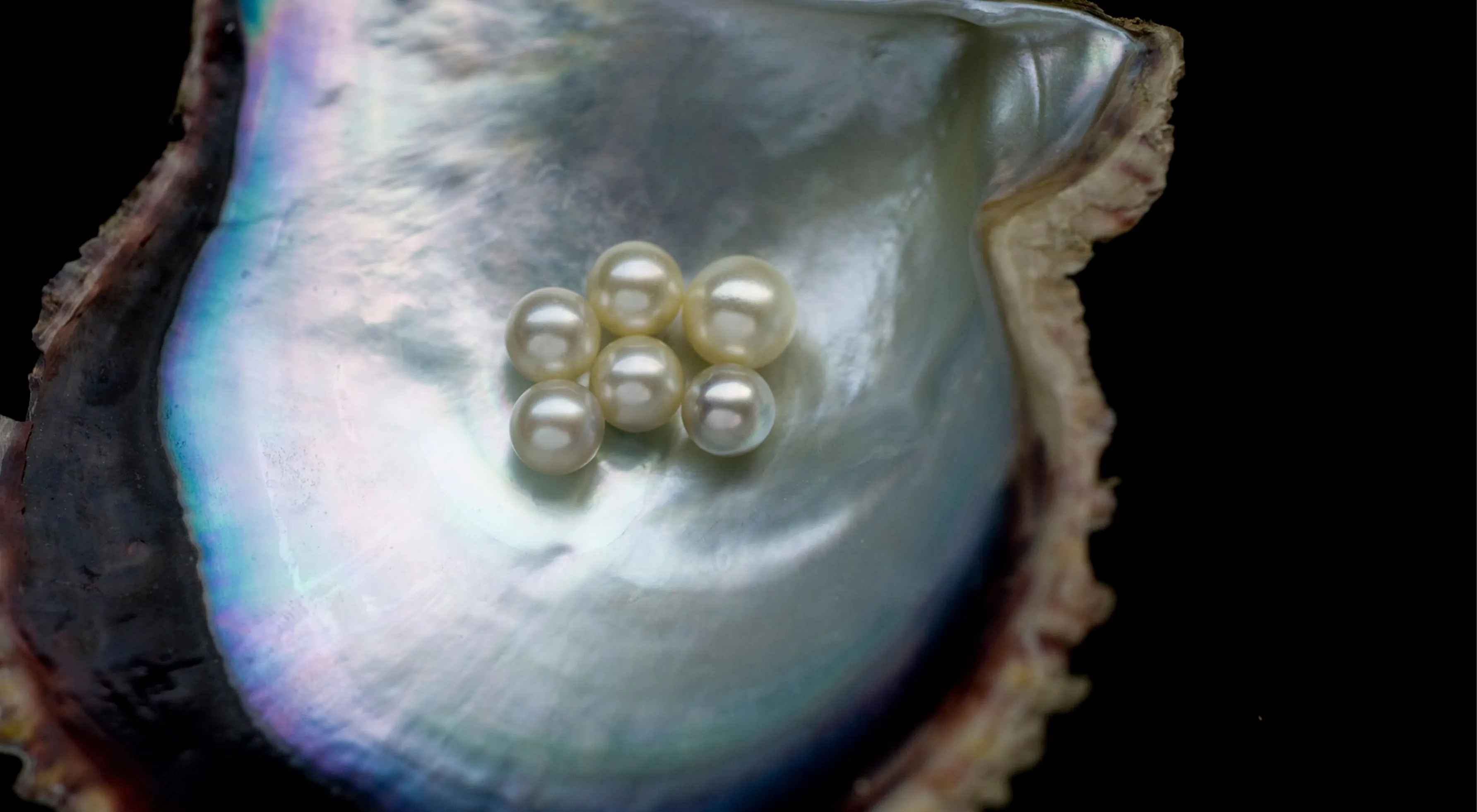 Mikimoto: The Journey of a Pearl