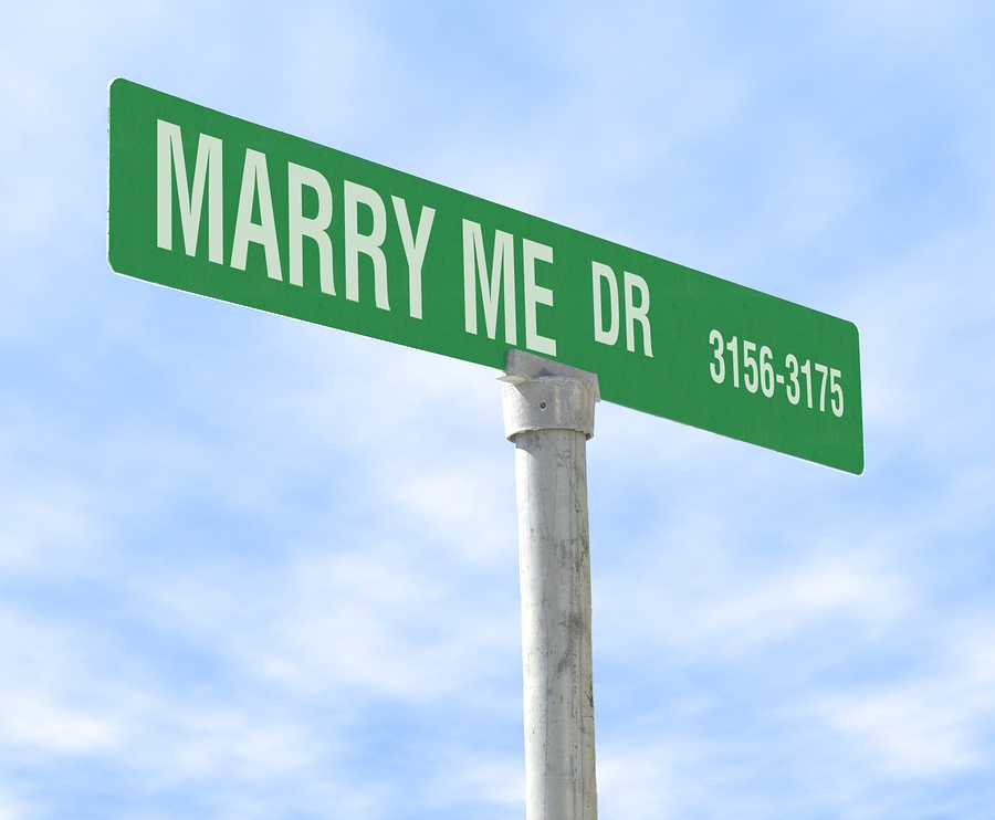 The Perfect Proposal
