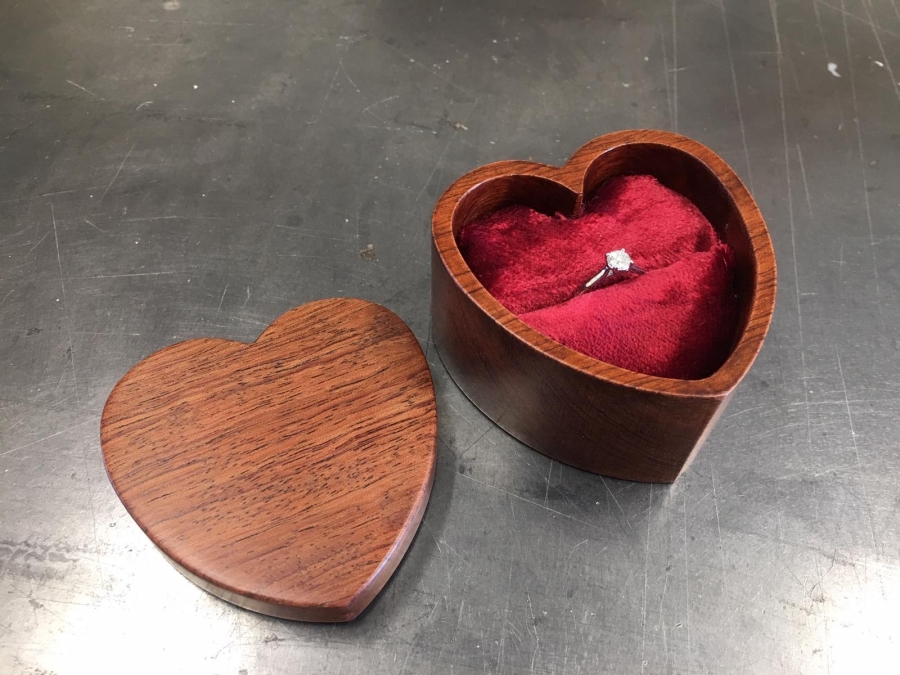 A Proposal Tale of Love and Nostalgia