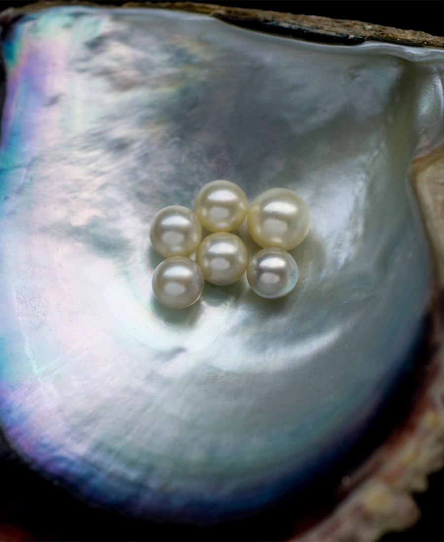 Mikimoto: The Journey of a Pearl