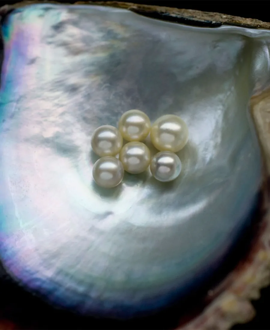 Mikimoto: The Journey of a Pearl