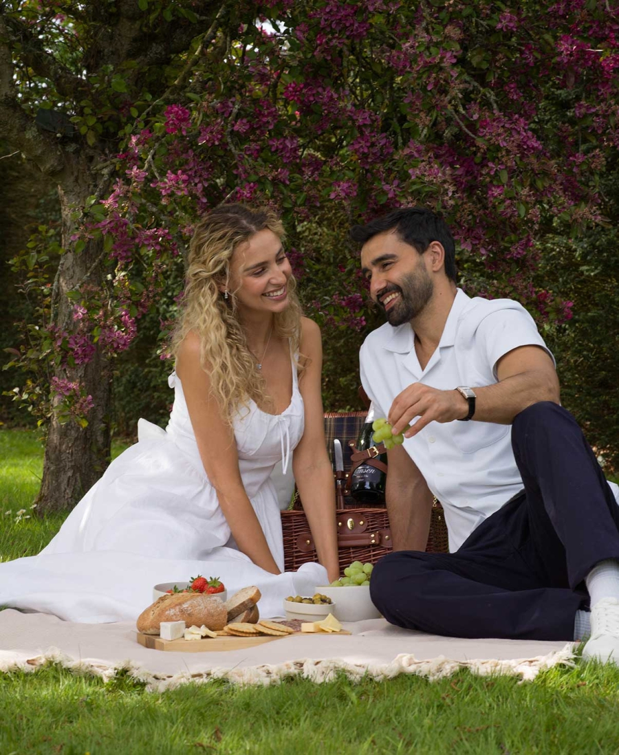 Laings Guide to the Perfect Spring Picnic 