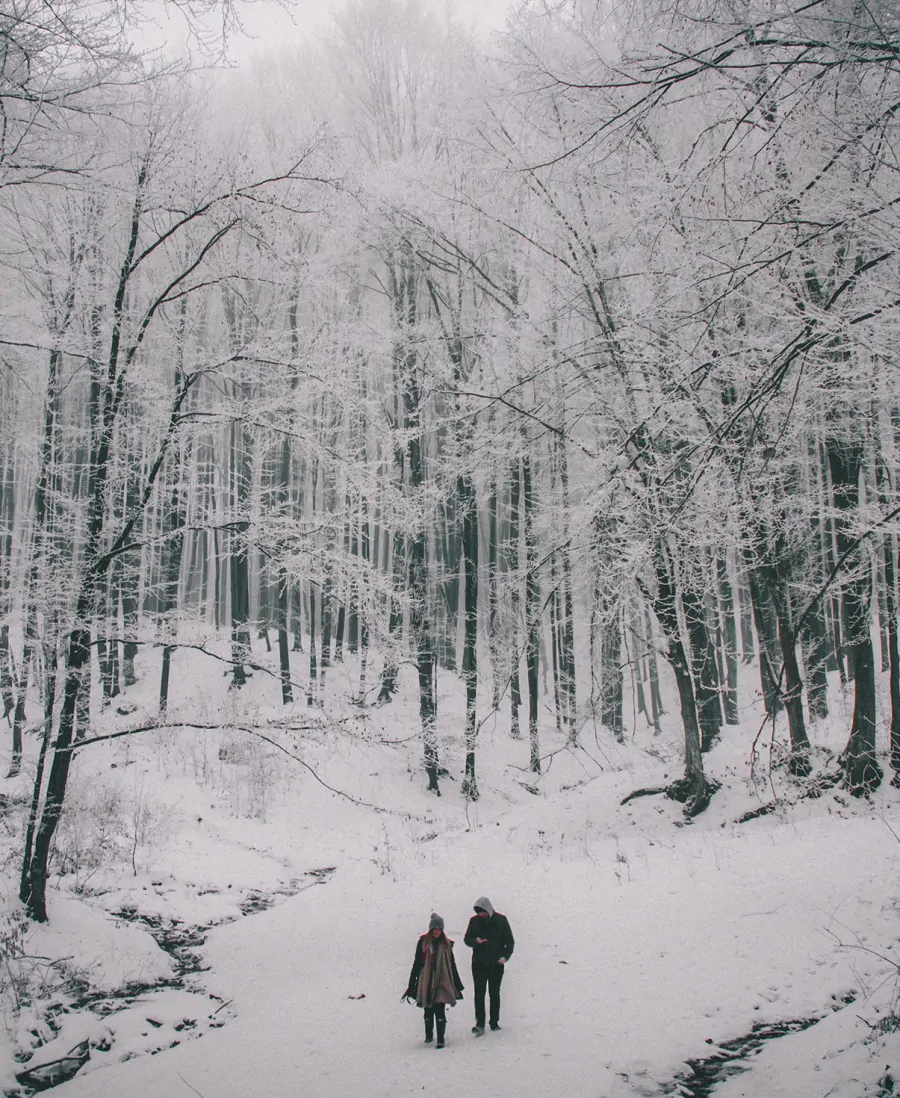 Couple in the snow