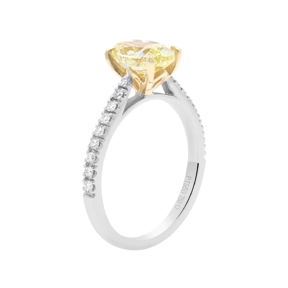 Platinum & 18ct Yellow Gold 1.50ct Yellow Diamond Solitaire Ring with Diamond Shoulders