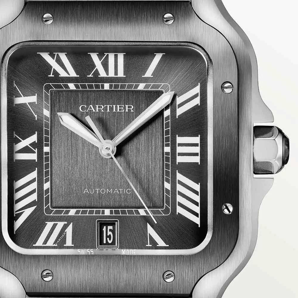 Cartier Santos de Cartier Watch WSSA0037
