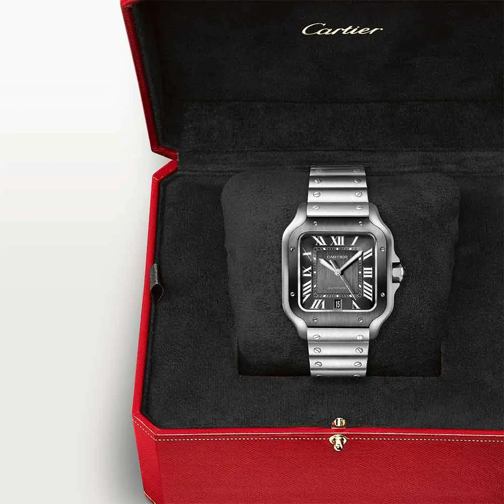 Cartier Santos de Cartier Watch WSSA0037
