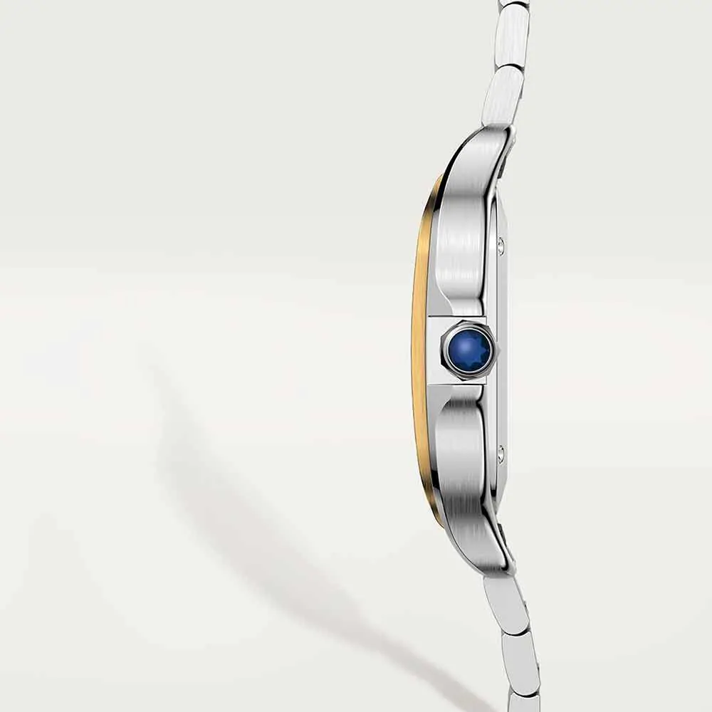 Cartier Santos de Cartier Watch W2SA0016