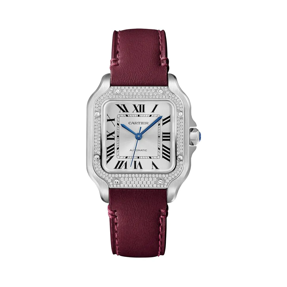 Cartier Santos de Cartier Watch W4SA0005