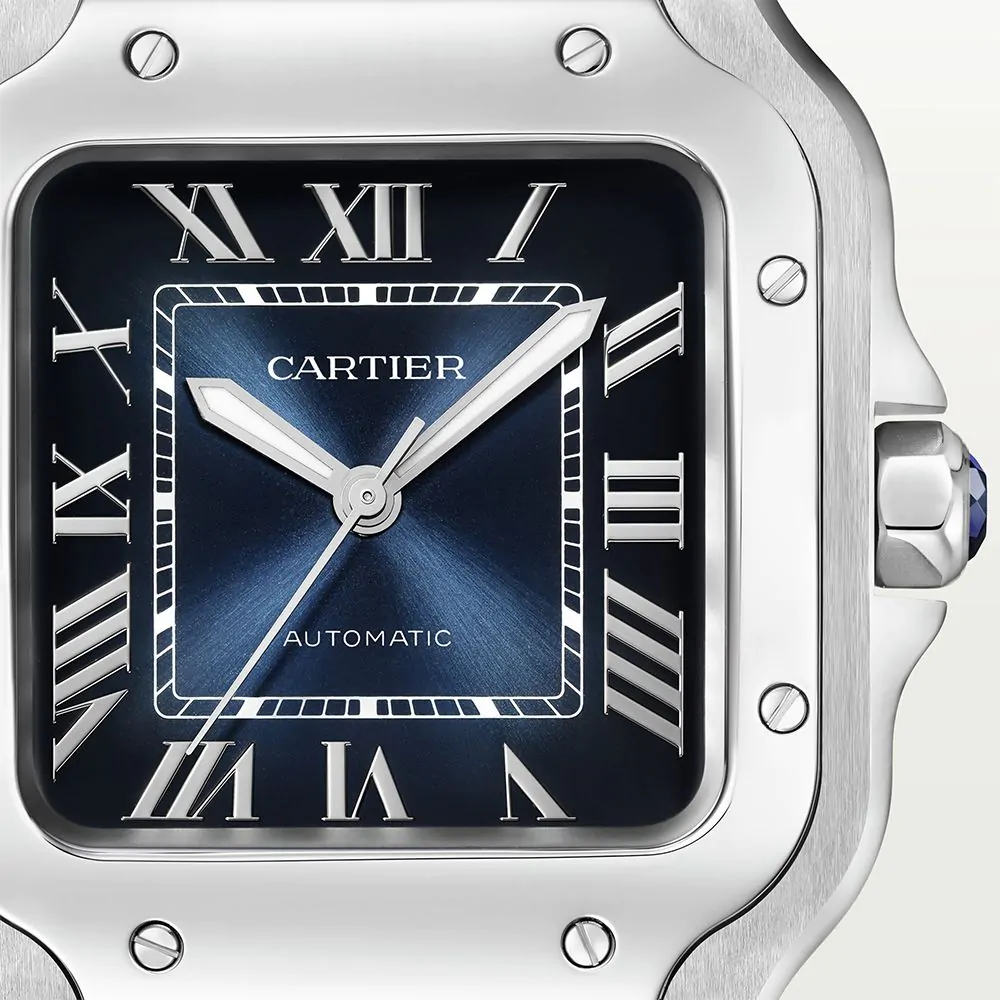 Cartier Santos de Cartier Watch WSSA0063