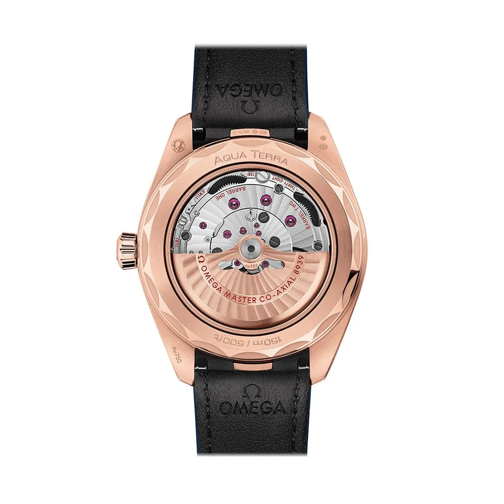 OMEGA Aqua Terra GMT Worldtimer 43mm Watch 22053432202001
