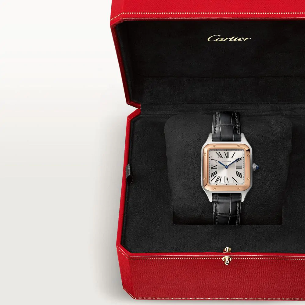 Cartier Santos-Dumont Watch W2SA0012