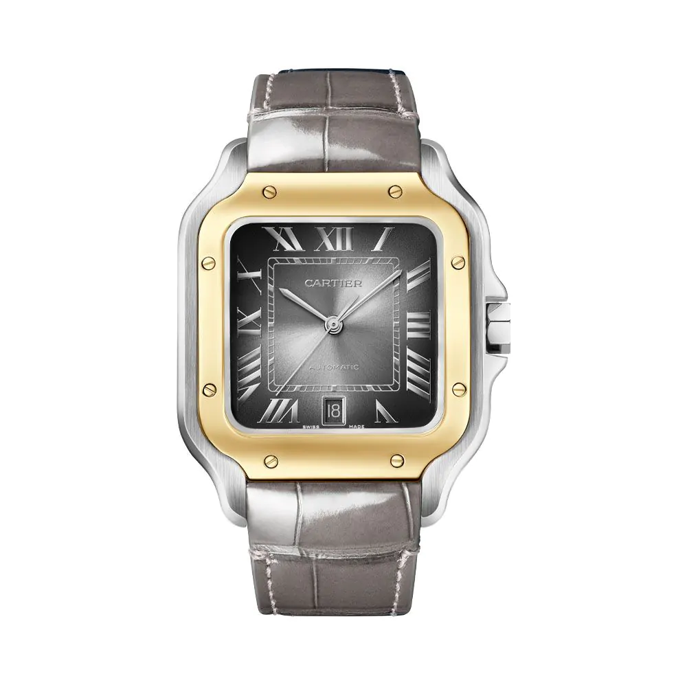 Cartier Santos de Cartier Watch W2SA0030