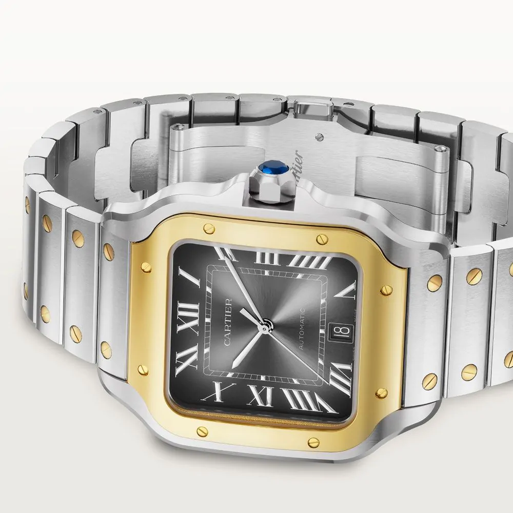 Cartier Santos de Cartier Watch W2SA0030