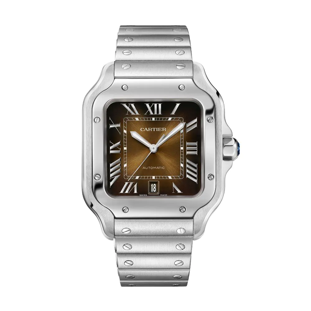 Cartier Santos De Cartier Watch WSSA0064