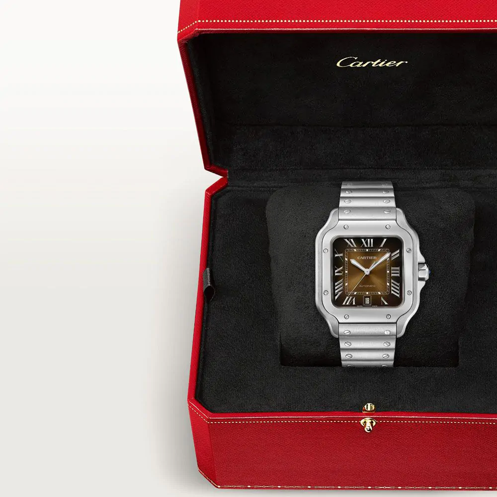 Cartier Santos De Cartier Watch WSSA0064