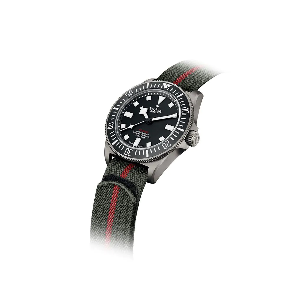 TUDOR Pelagos FXD 42mm Watch M25717-N0001