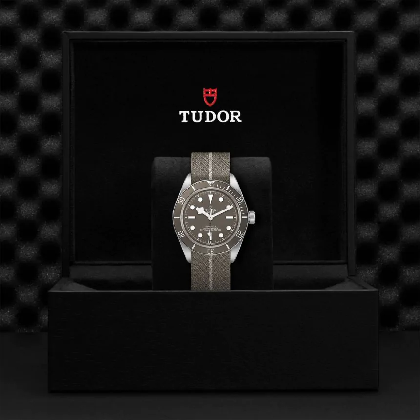 TUDOR Black Bay Fifty-Eight 925 39mm Watch M79010SG-0002