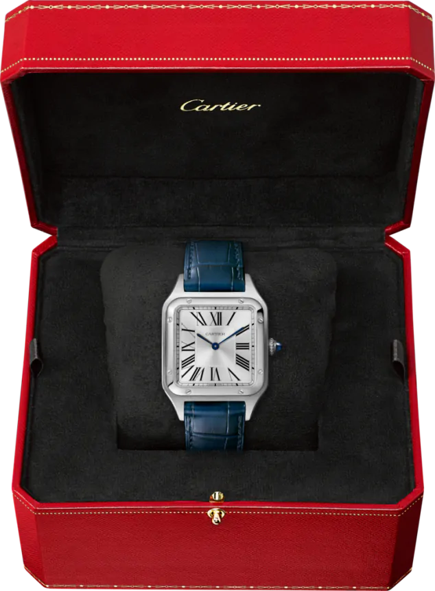 Cartier Santos-Dumont Watch WSSA0022