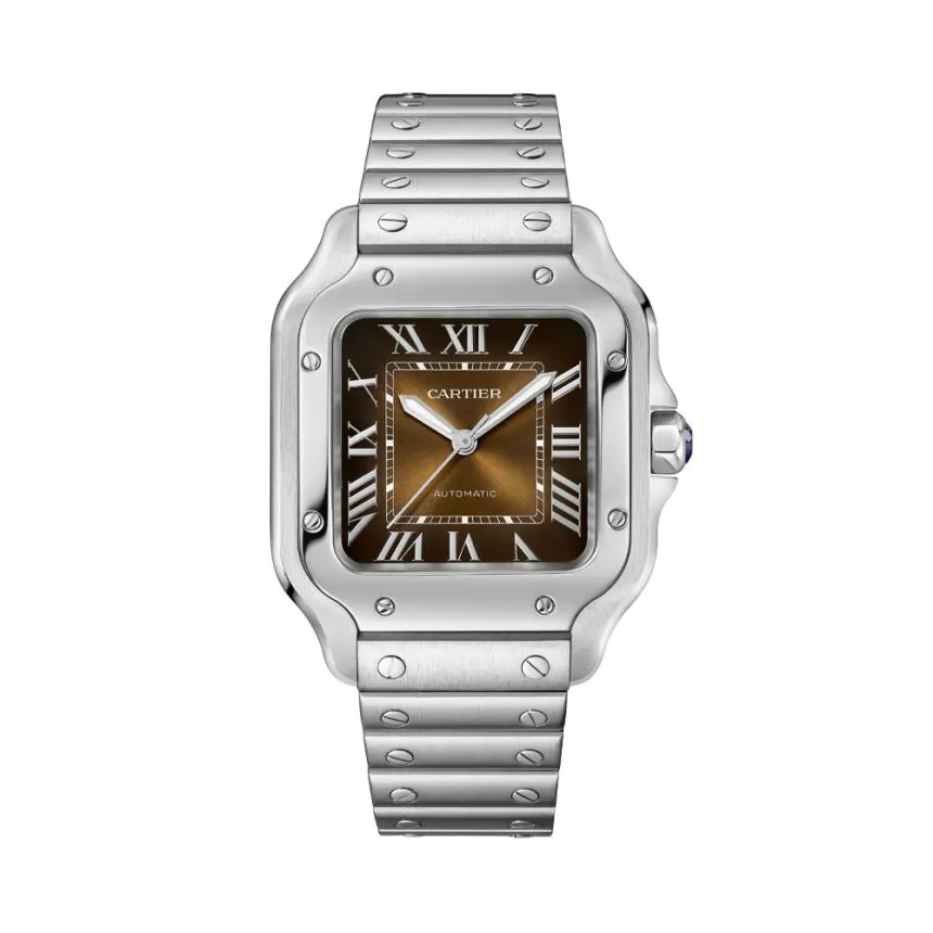 Cartier Santos De Cartier Watch WSSA0065