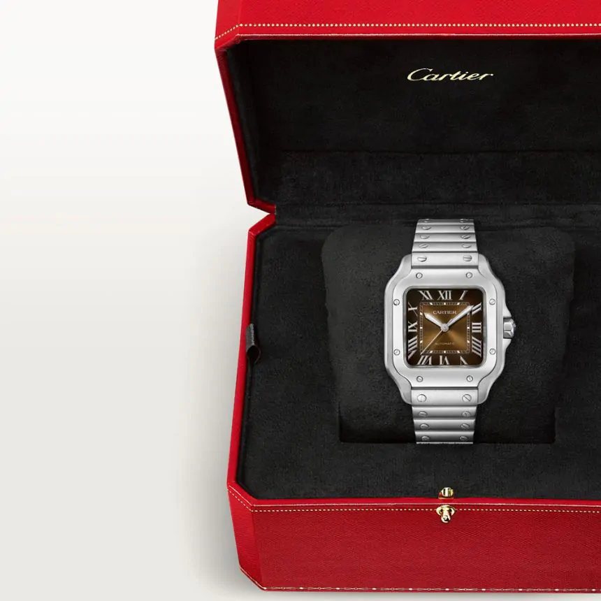 Cartier Santos De Cartier Watch WSSA0065