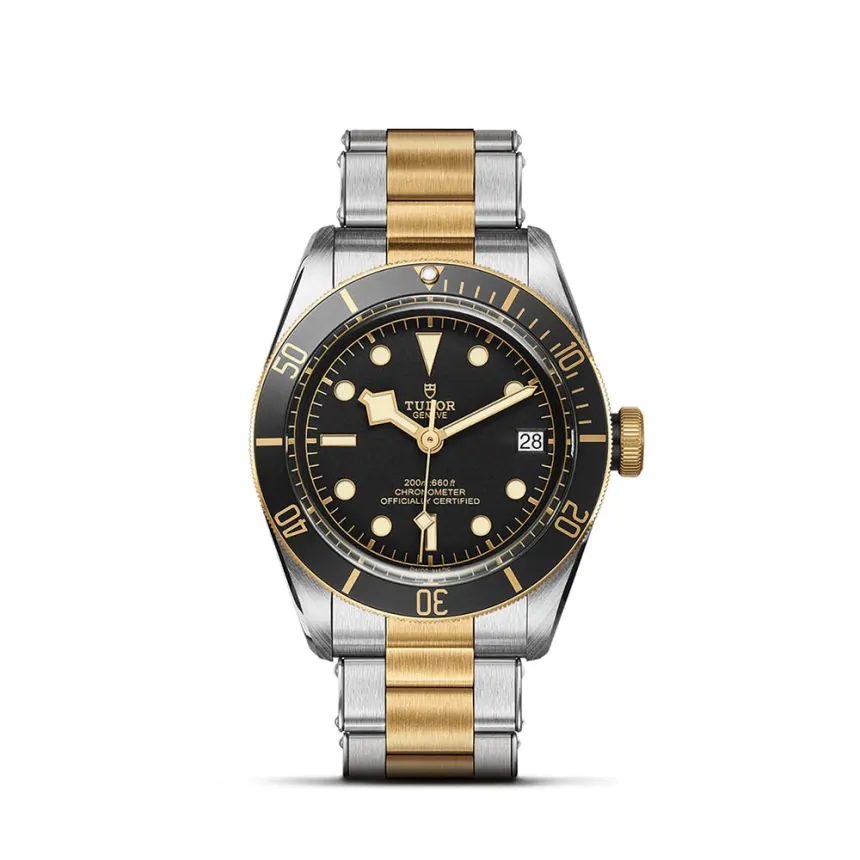 TUDOR Black Bay S&G 41mm Watch M79733N0008