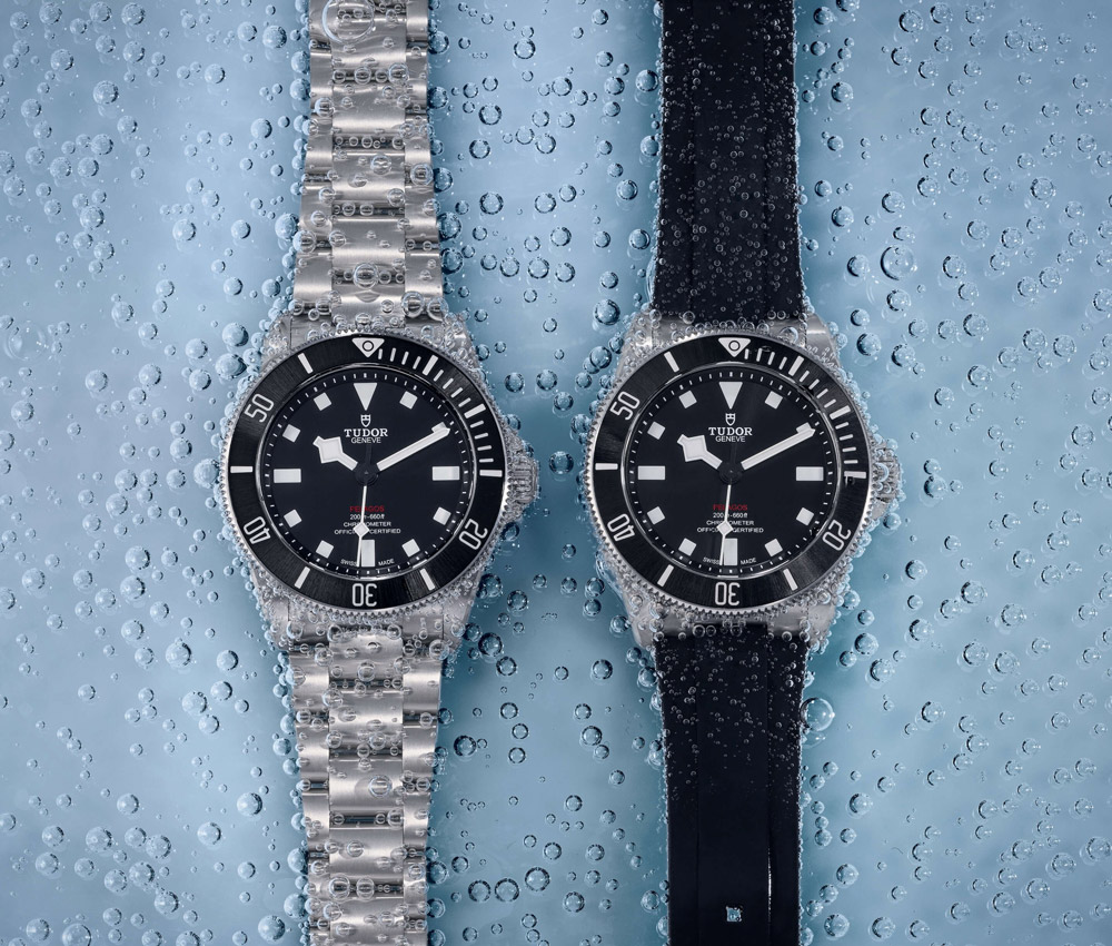 Tudor pelagos 2025 history