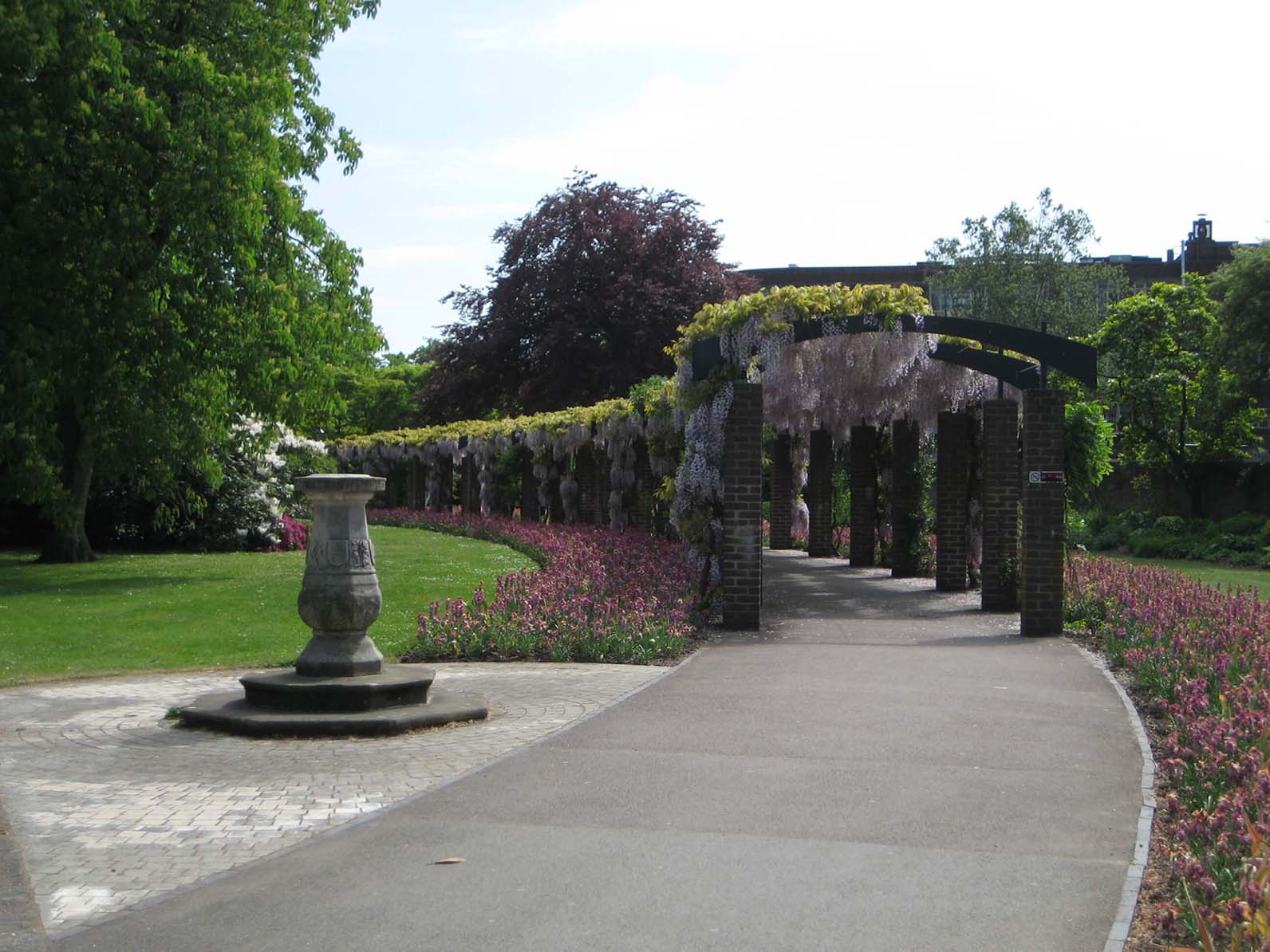 Wisteria Tunnel in East Park Southampton