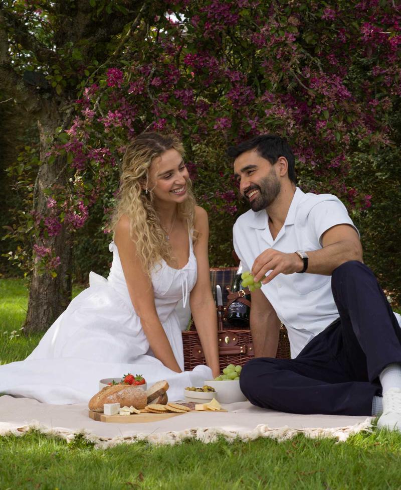Laings Guide to the Perfect Spring Picnic 