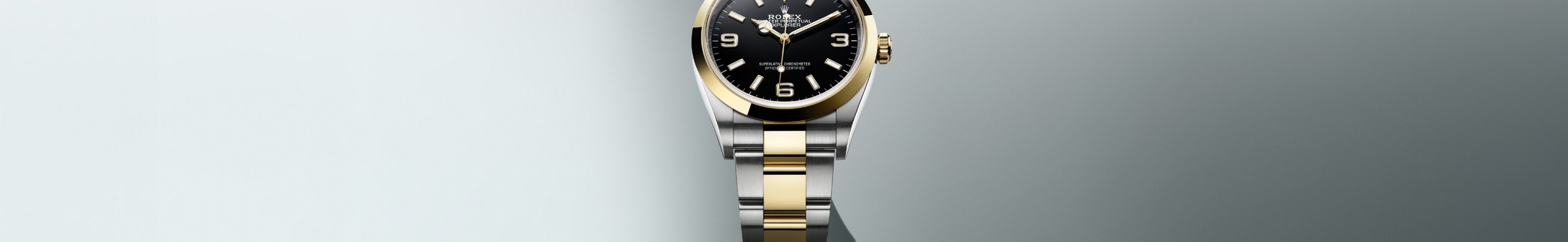 Rolex Explorer Watches