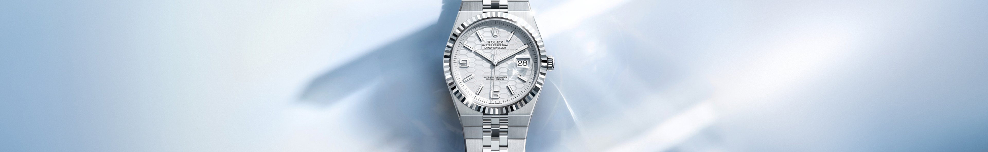 Rolex Land-Dweller watches at Laings
