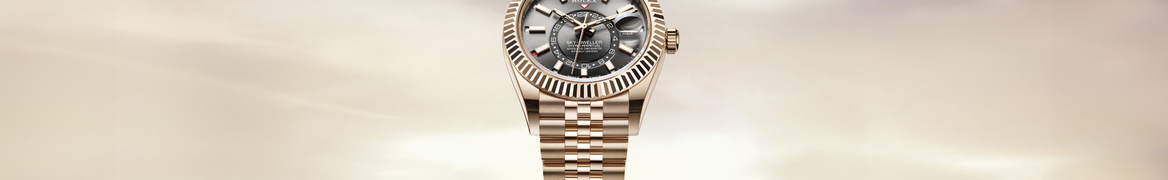 Rolex Sky-Dweller Watches