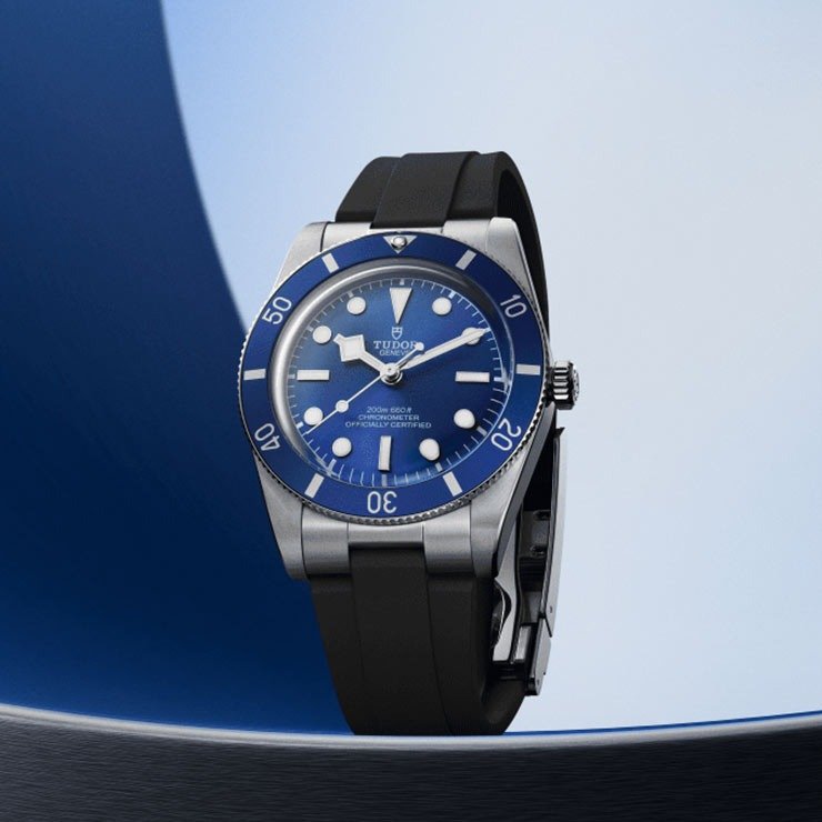 TUDOR